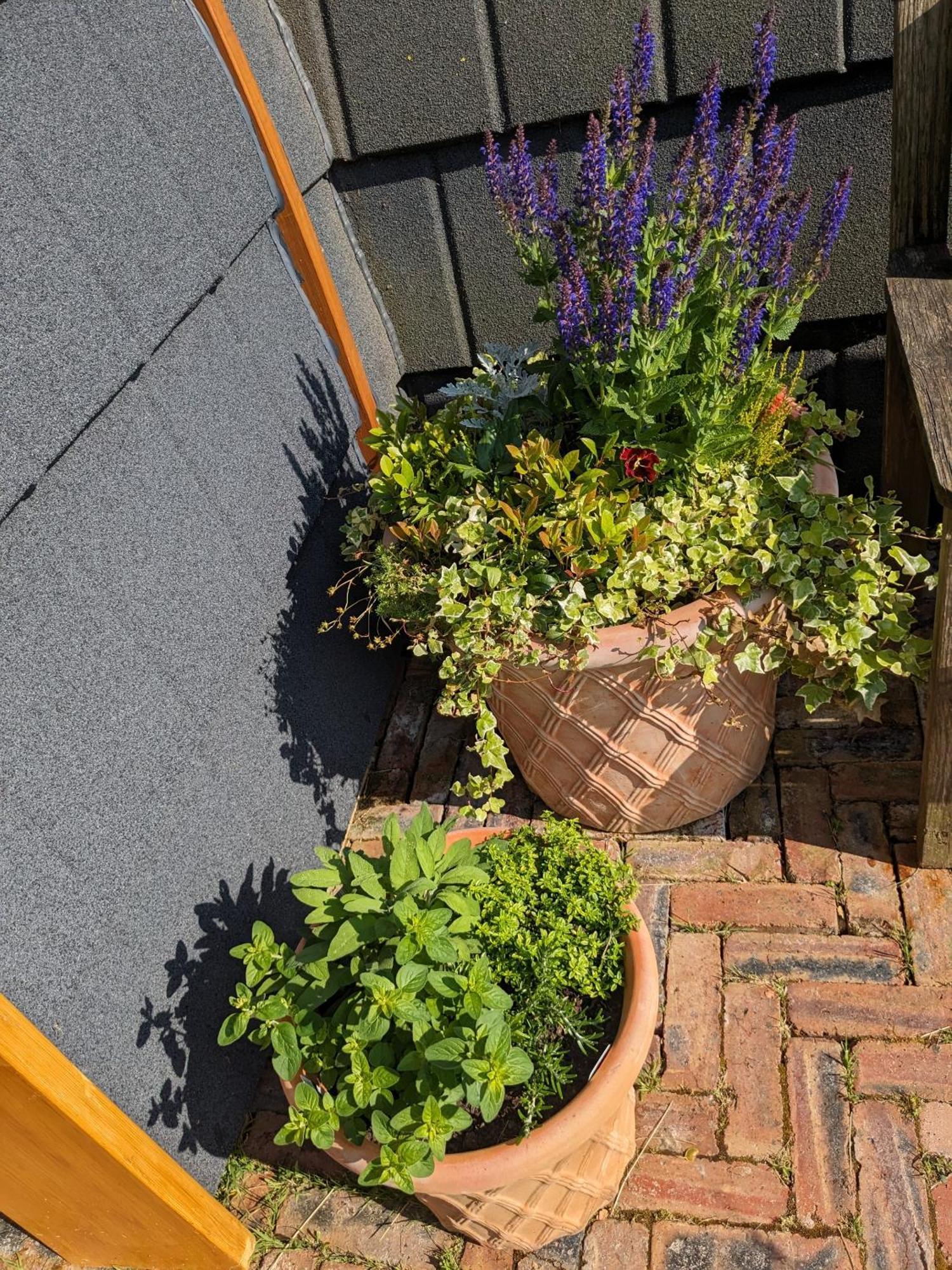 Eco Indigo Villa Dunbar Cameră foto